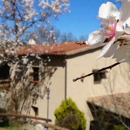 Valdolazaro Konuk evi Los Navalucillos Dış mekan fotoğraf