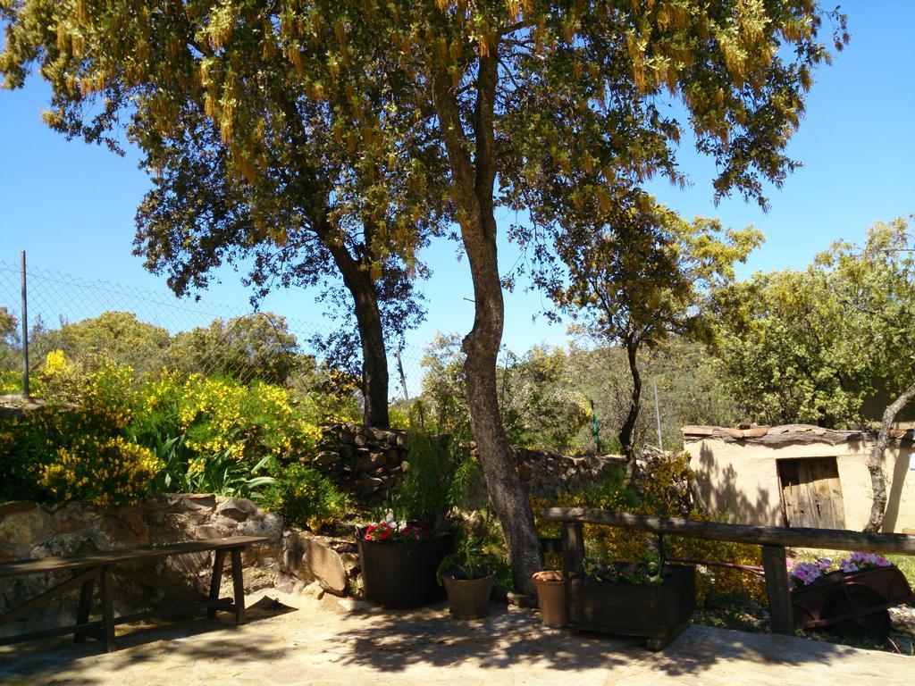 Valdolazaro Konuk evi Los Navalucillos Dış mekan fotoğraf