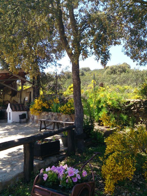 Valdolazaro Konuk evi Los Navalucillos Dış mekan fotoğraf