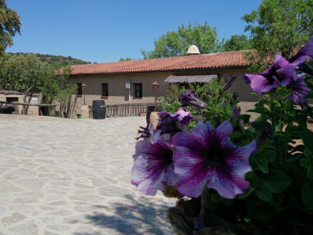 Valdolazaro Konuk evi Los Navalucillos Dış mekan fotoğraf